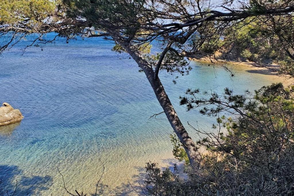 Appartement Dans Residence Avec Piscine La Londe-les-Maures Exteriör bild