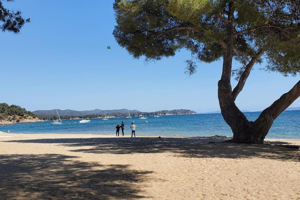 Appartement Dans Residence Avec Piscine La Londe-les-Maures Exteriör bild